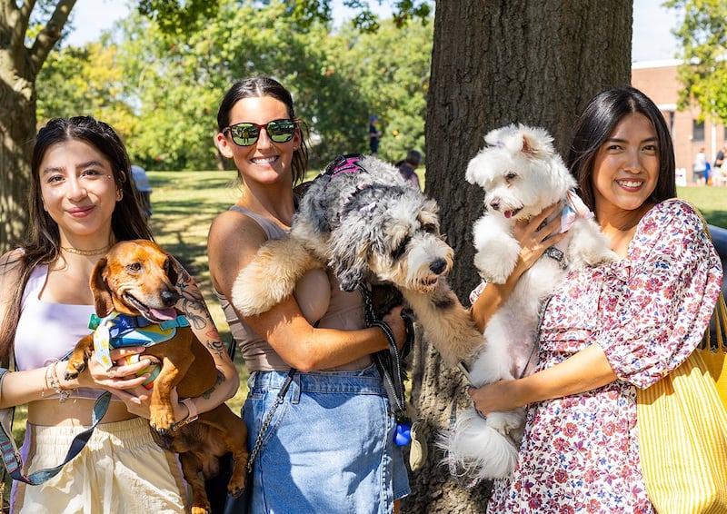 Explore new cultures, make new memories with your four-legged friend or embrace the crisp autumn air with the Downers Grove Park District in September.