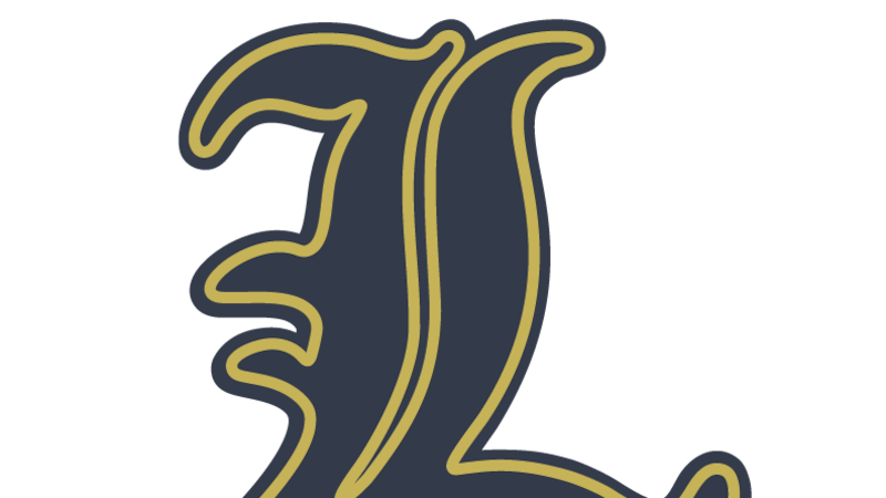 Mila Mardjetko’s 15-strikeout gem leads Lemont to sectional title: Friday’s Suburban Life sports roundup