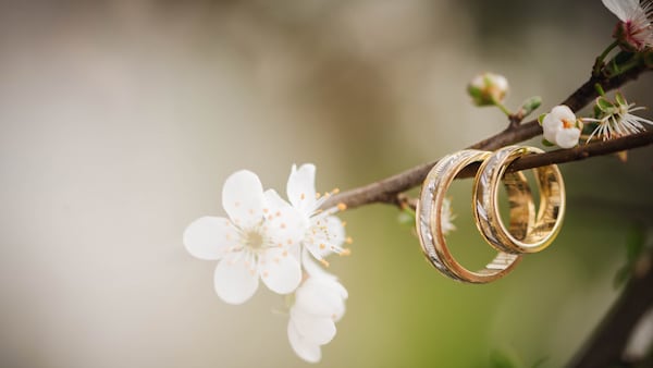 La Salle County marriage licenses: June 1- 14, 2026