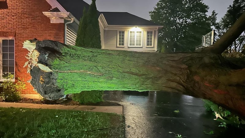 Photos: Tornado damage in Bartlett