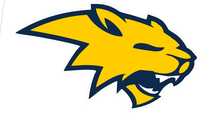 Neuqua Valley logo