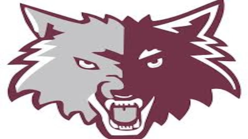 Prairie Ridge can’t solve Grayslake Central’s Beau Barrows in Class 3A regional final loss