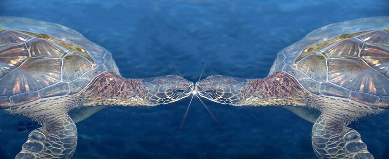 "The Kiss" photograph metal art piece created by artist Rich Born