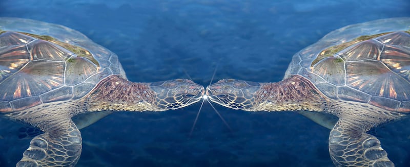 "The Kiss" photograph metal art piece created by artist Rich Born