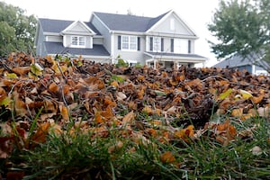 After halt to fall leaf pickup, McHenry will resume collections in spring