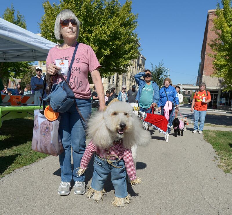 This dog masquerading as a Scarecrow walks the red carpet as part of the Costume Contest on Sunday, Oct. 6, 2024, during the annual Bill’s Barktoberfest on the Jordan block in Ottawa. The event was inspired by Bill Walsh Sr. and his love of dogs.