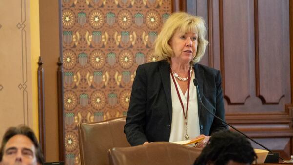 Illinois Senate advances bills requiring more insurance for boaters, protections for mobile ID users