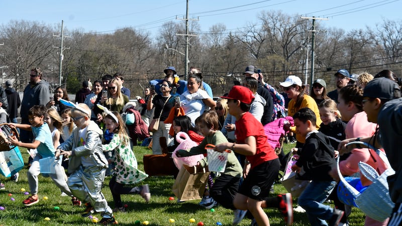 Egg hunts for kids, dogs and adults across the suburbs