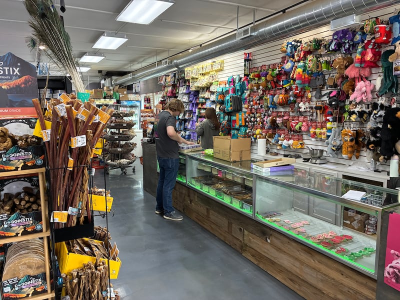 Store manager Matthew Taylor and Retail Rock Star Mary Mueller work on pricing and shelving products at Reeses Barkery and Pawtique on Wednesday, March 4, 2026. The McHenry pet emporium is settling into a temporary store, at 3314 Pearl St., McHenry, following a Jan. 18 fire at their Riverside Drive location.