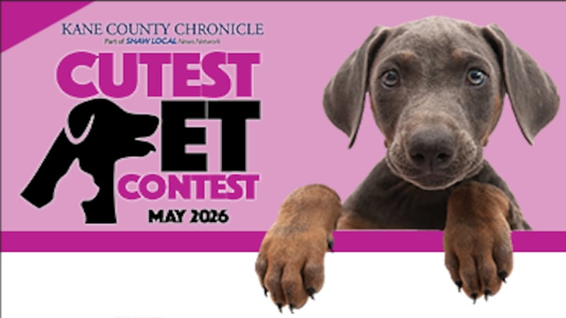 Kane County May Cutest Pet