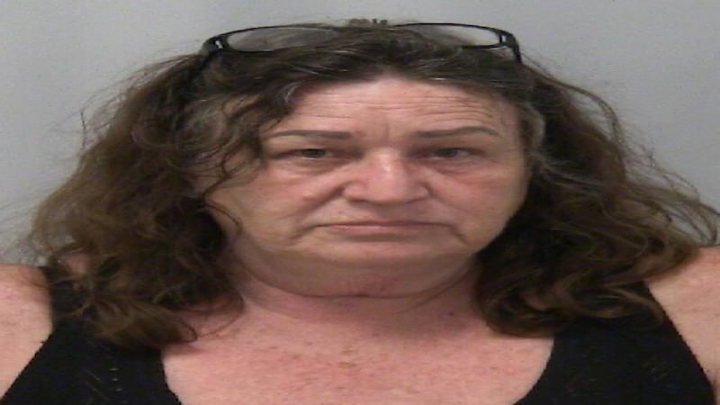 Amboy woman, wanted on drug-related warrant, charged with more drug offenses after Dixon traffic stop