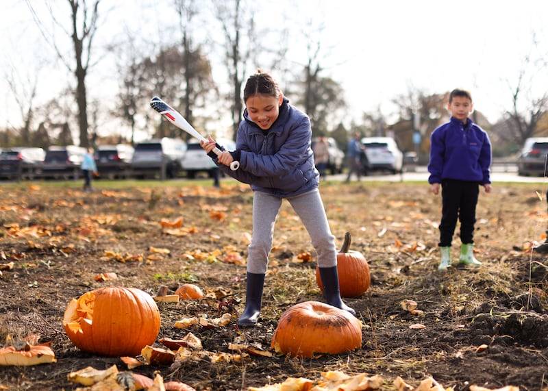 The Glen Ellyn Park District invites the public to its Pumpkins Smash event from 9 to 11 a.m. Saturday, Nov. 2, 2024, at Village Green Park, 130 S. Lambert Road. The event encourages the community to help divert pumpkins from landfills by composting them in a fun and engaging way.
