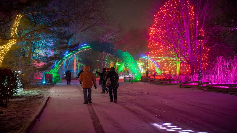 Wild Lights holiday event returns to Milwaukee County Zoo Nov. 21