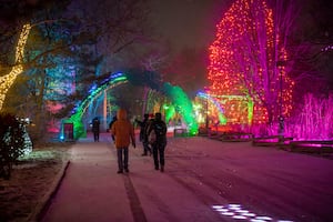 Wild Lights holiday event returns to Milwaukee County Zoo Nov. 21
