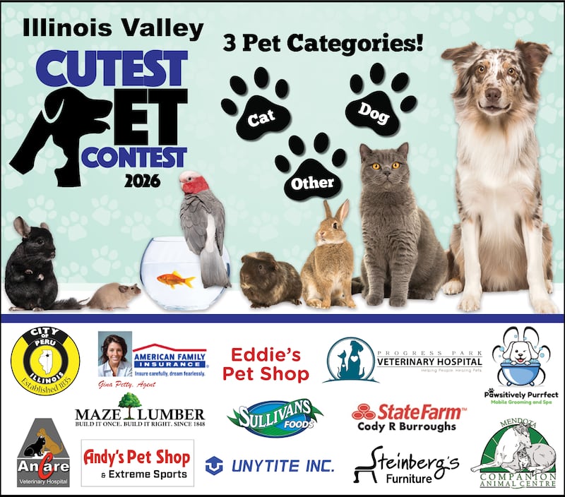 IV Cutest Pet 2026