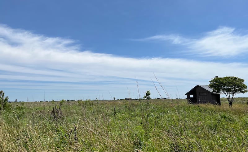 The landscape at the Prairie Bluff Forest Preserve in Crest Hill. A ribbon-cutting ceremony was held on Friday, May 31, for the ecosystem restoration project for the Prairie Bluff Forest Preserve and the Lockport Prairie Nature Preserve in Lockport Township.