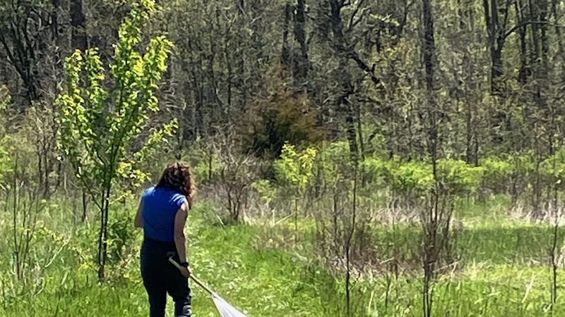 Kendall County at work monitoring mosquitoes, ticks to prevent disease spread
