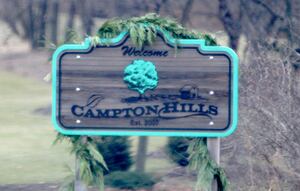 Campton Hills Treasurer Patsy Smith keeps post after move to rescind her appointment fails