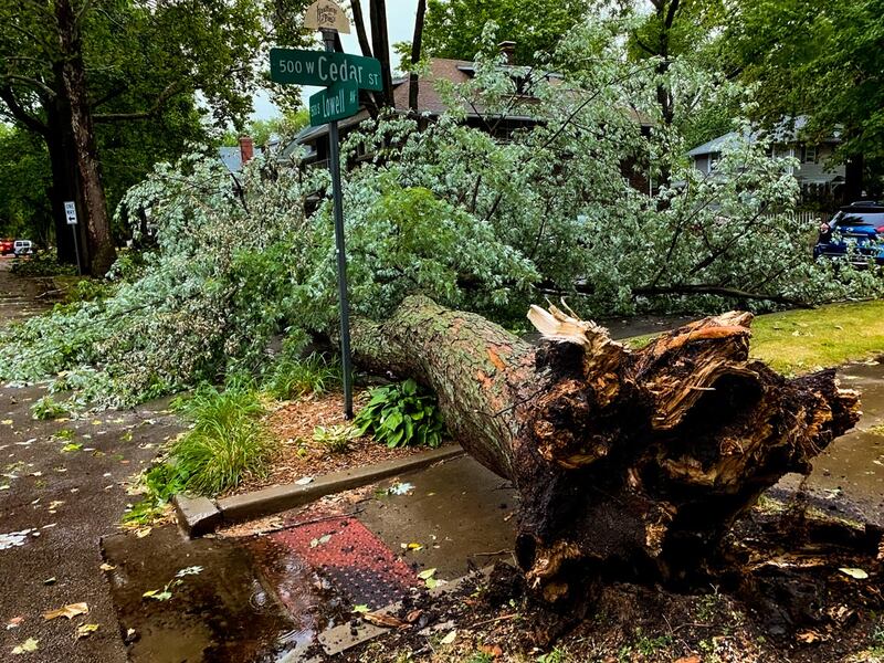 A 2023 storm caused extensive home damage in parts of Springfield, including trees falling on homes.