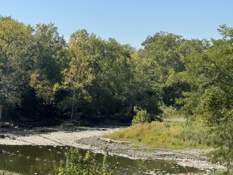 Thousands of dead fish were found Tuesday near the Streator dam along 3150 N Road in Livingston County. The cause remains under investigation by state and local agencies.