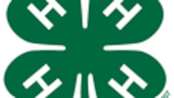 Lee County’s budding gardeners cultivate skills, compassion in Jr. Gardener Special Interest Club