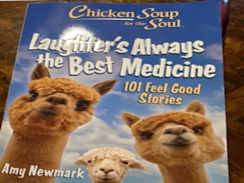 Former Cary-Grove High School teacher Susan Schuerr will hold a book signing from 1 to 3 p.m. Saturday, April 26, 2025, at the Algonquin Barnes and Noble for her story’s appearance in Chicken Soup for the Soul’s Laughter’s Always the Best Medicine.