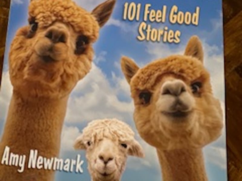 Former Cary-Grove High School teacher Susan Schuerr will hold a book signing from 1 to 3 p.m. Saturday, April 26, 2025, at the Algonquin Barnes and Noble for her story’s appearance in Chicken Soup for the Soul’s Laughter’s Always the Best Medicine.