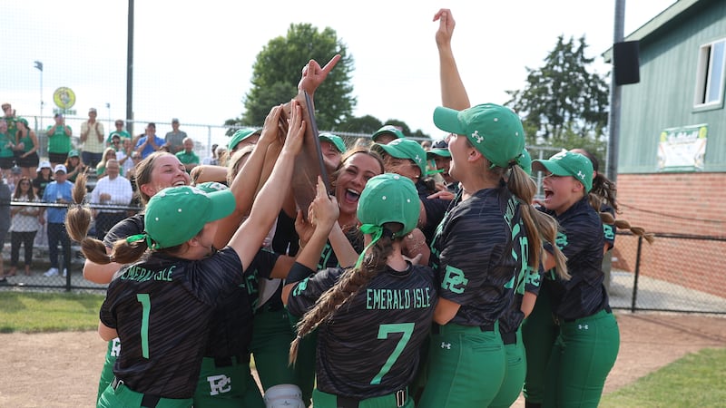 Providence’s Macie Robbins fires one-hitter to give Celtics sectional title over Morris
