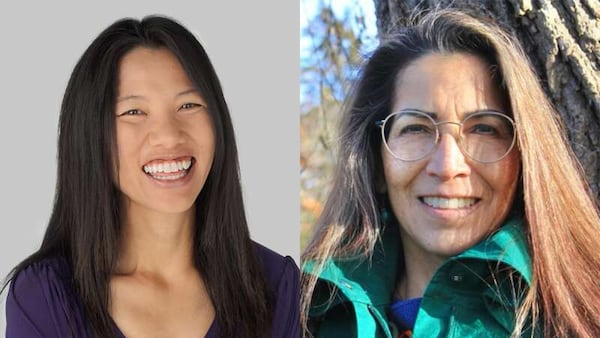 Barrington area Democrats condemn Chan Ding mailers