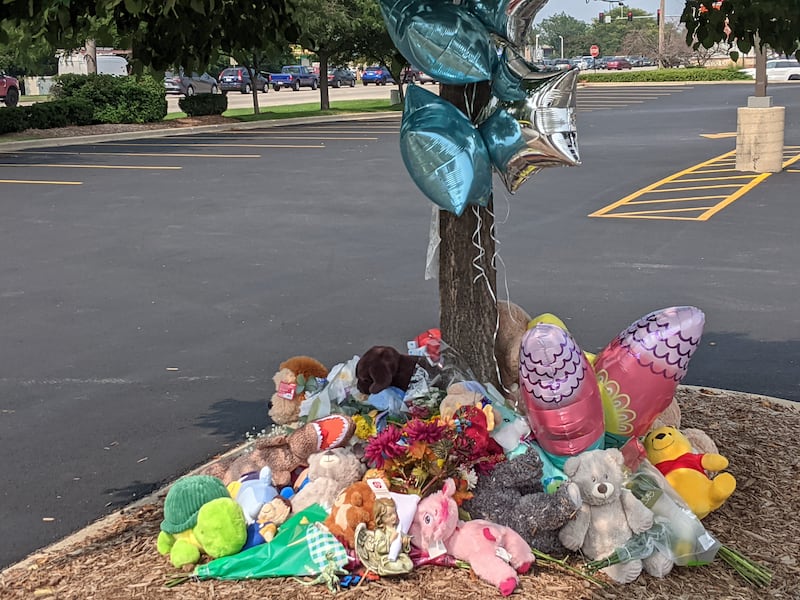 A memorial has been set up in front of the Portillo's restaurant in Oswego where a 2-year-old boy was killed when a car drove into the restaurant Wednesday, July 30, 2025.