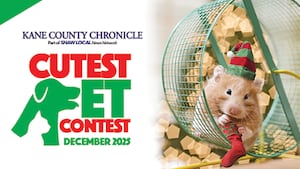December Cutest Pet Contest