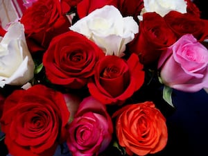 Culinary, Valentine’s Day events in downtown Wheaton