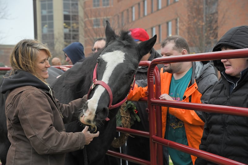 Margaret Gitter, owner of Mane Trail Stables, an equine-assisted therapy and learning center, interacts with Benedictine University students in Lisle.