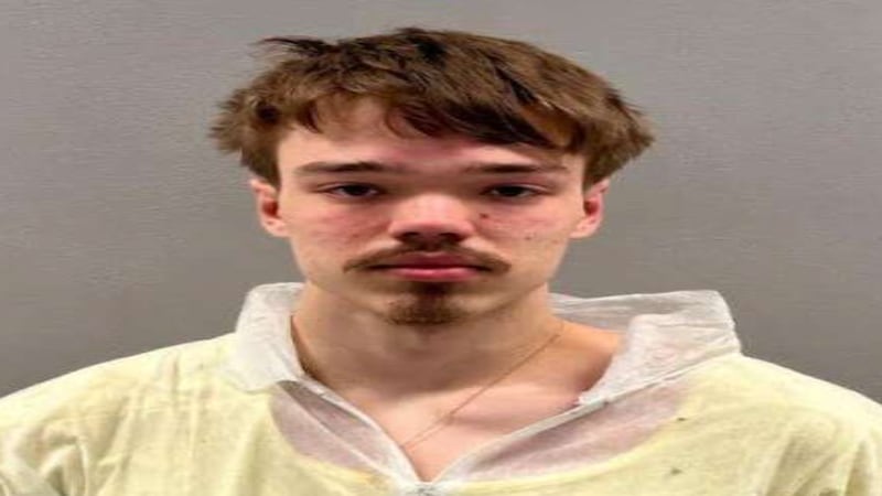 Man pleads not guilty to brutal killing of pregnant Downers Grove woman