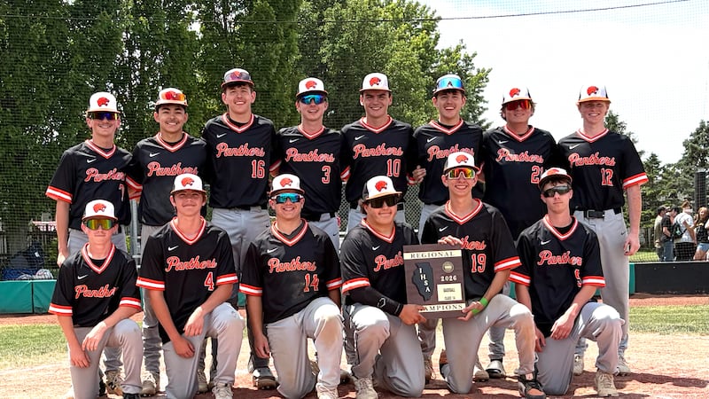 Christensen twins, balanced bats propel Gardner-South Wilmington past Dwight for regional title