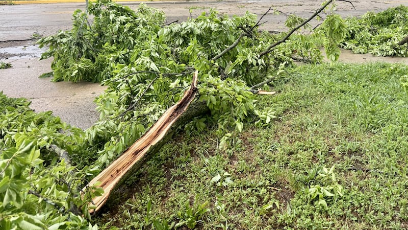 Tornado watch issued for Northern Illinois, Illinois Valley until 11 p.m.