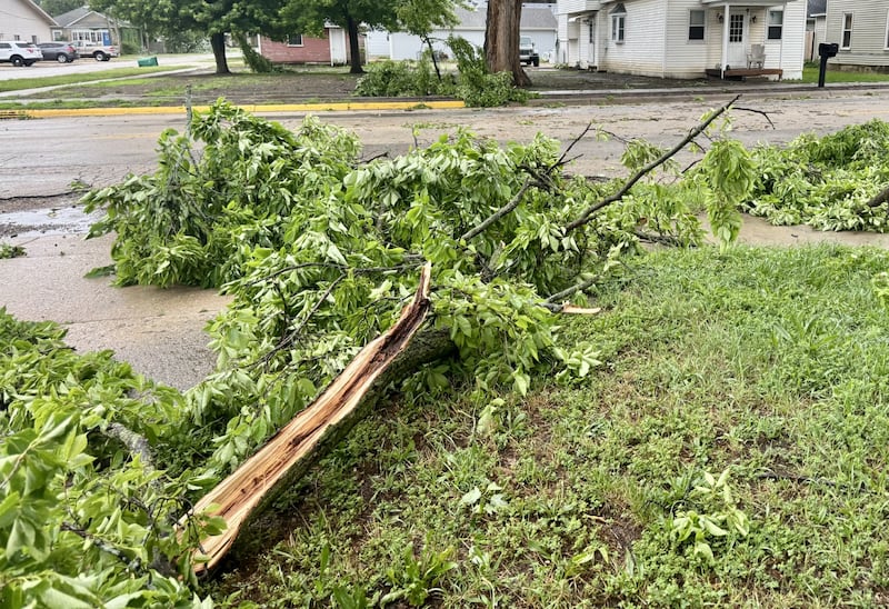 Downed branches litter the ground in Seneca after the storm swept through the area on Wednesday afternoon.