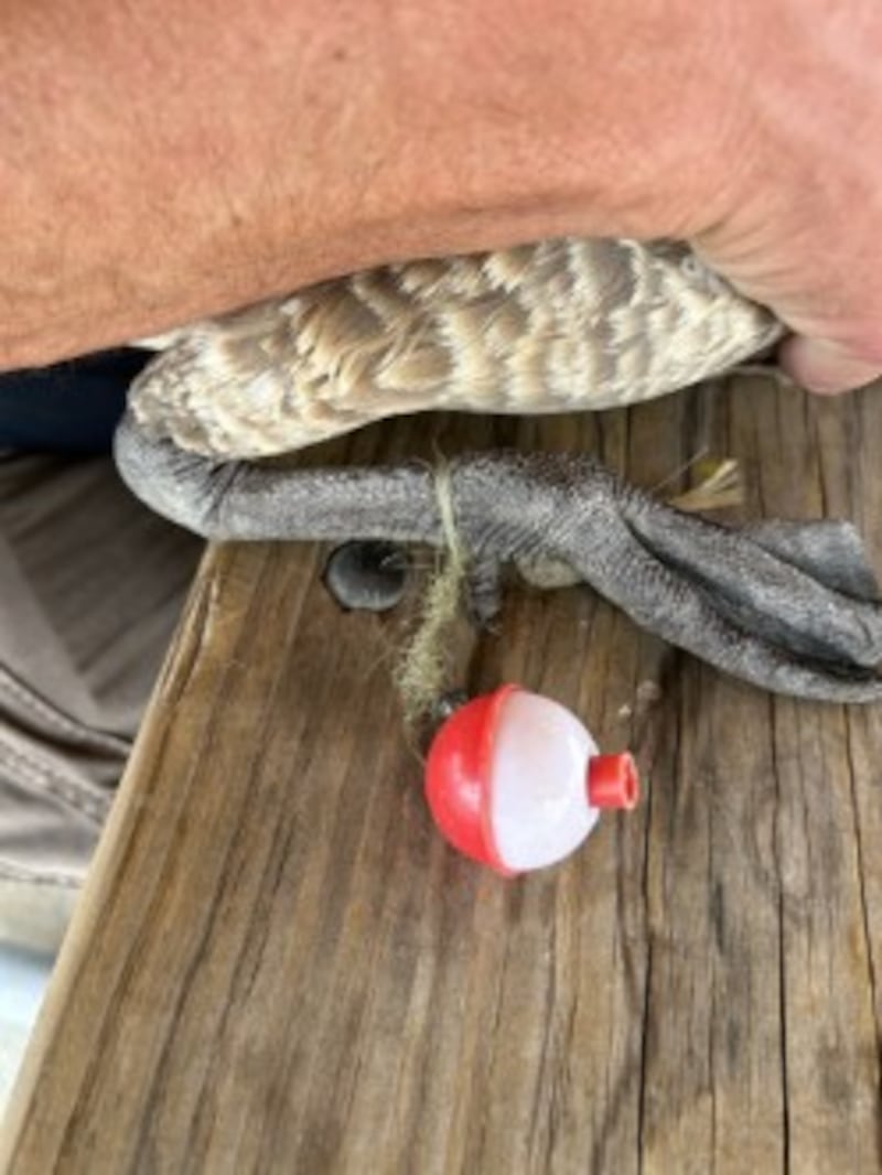 The Forest Preserve District of Will County has launched a campaign to get anglers to properly dispose of fishing line, so it doesn’t harm wildlife. Preserve visitors also are being encouraged to pick up fishing line and other trash that can harm wildlife.