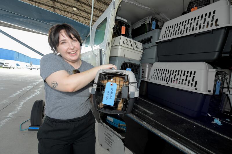 Molly Craig Director of Animal Pathways at Anderson Humane in South Elgin unloads one of the dog rescued from the recent Texas Floods. The animals were flow north on a Dog Is My CoPilot flight to the Aurora Municipal Airport on Thursday, Jul 24, 2025 in Sugar Grove.
