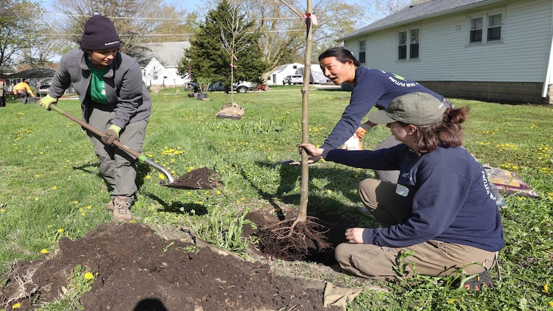 Photos: DeKalb Township kicks off 250 Trees for Tomorrow initiative