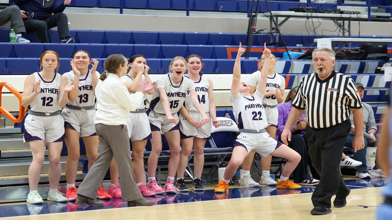 Photos: Manteno vs. St. Joseph-Ogden, Class 2A Pontiac Sectional girls basketball