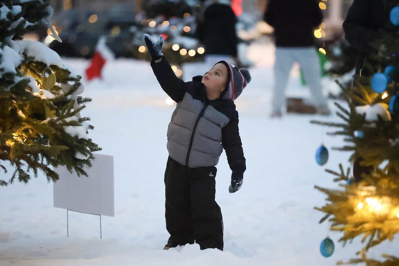 Gavin Brady-Bailey, 2-years-old, admires a Christmas tree at Plainfield’s holiday kickoff Grinchmas on the Green on Saturday, Dec. 5, 2025 in Plainfield.