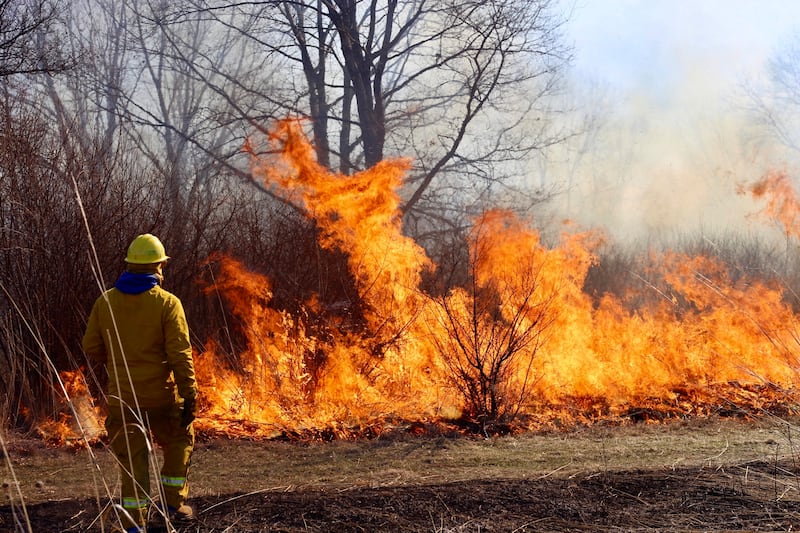 The Dixon Park District maintenance team successfully executed a professionally prescribed burn Monday, covering over 100 acres at The Meadows.