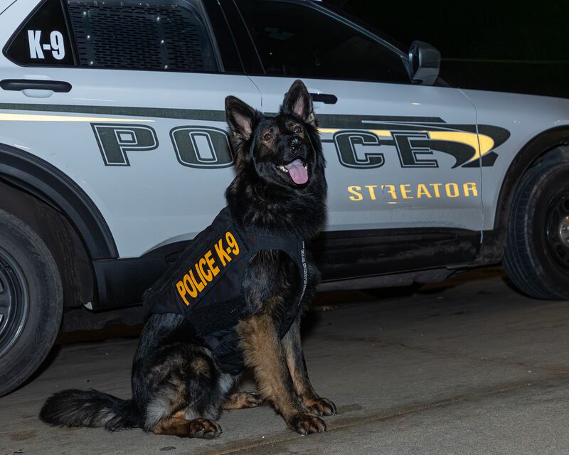 K9 'Bo' poses for photo in front of patrol car on Friday, January 9, 2026, at the Streator Police Department in Streator. 'Bo' and the Streator Police Department were gifted a protection vest by 'Vested Interest in K9s, Inc.'