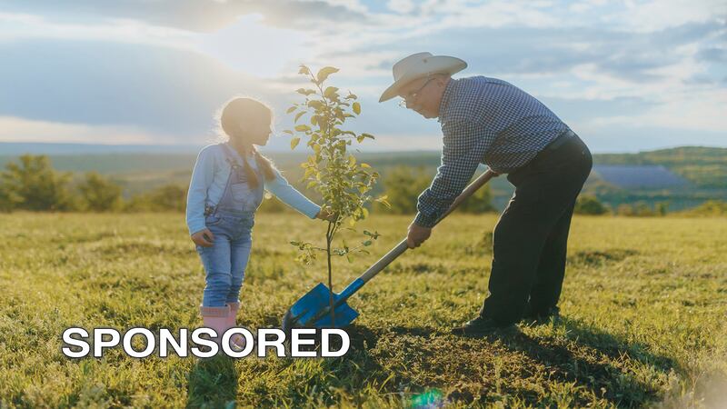 How to Create a Long-lasting Tribute to Memorialize a Loved One