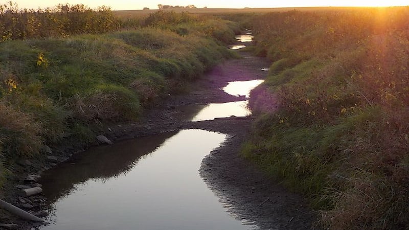 Migratory Birdwatching Hike at Lake Kakusha