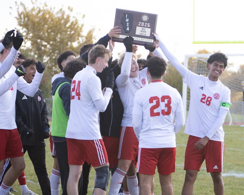 South Elgin wins over St. Charles North at the Class 3A Sectional Final on Saturday, Nov. 1,2025 in South Elgin.