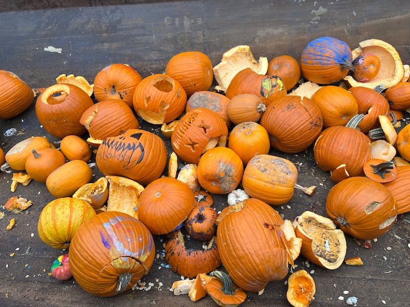 Disgorged gourds after the 2023 Pumpkin Smash in Aurora. Smashing your pumpkins to be used as compost is one green way to get rid of your jack-o'-lantern this year.