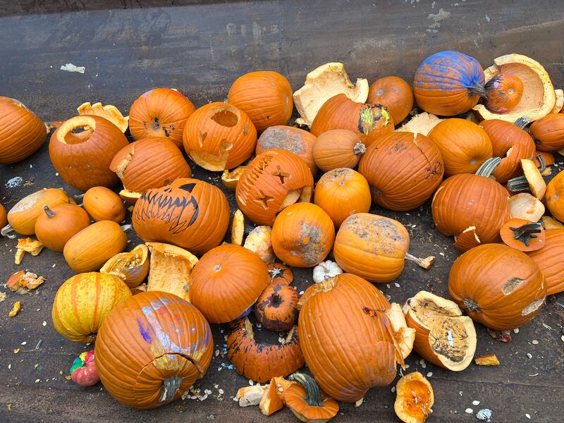 Disgorged gourds after the 2023 Pumpkin Smash in Aurora. Smashing your pumpkins to be used as compost is one green way to get rid of your jack-o'-lantern this year.