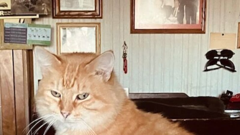 Pet of the Week: March 5, 2025